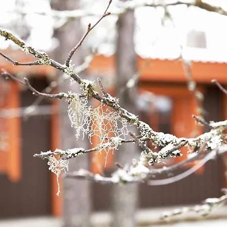 Majatalo Panimo Affittacamere