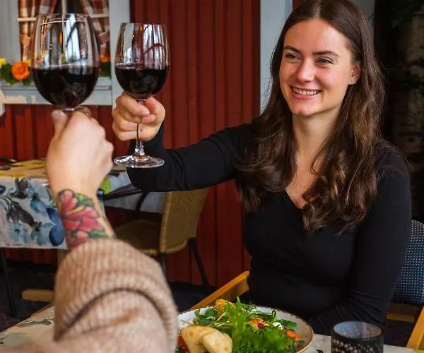 ゲストハウス Majatalo Panimo