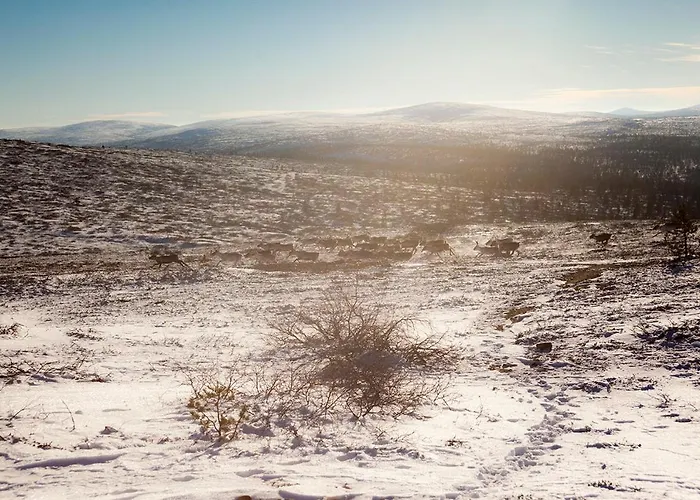 Pensjonat Majatalo Panimo Saariselkä