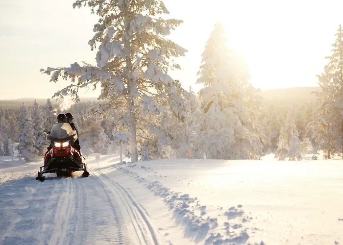 Majatalo Panimo サーリセルカ