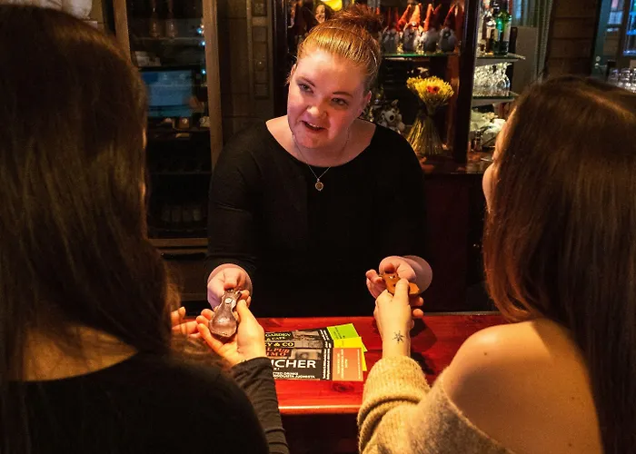 ゲストハウス Majatalo Panimo サーリセルカ