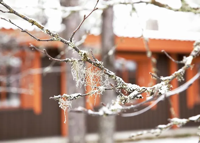 Majatalo Panimo Pensjonat